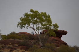 West MacDonnell Ranges, Northern Territory