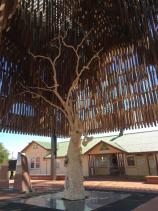 Tree of Knowledge, Barcaldine, Queensland